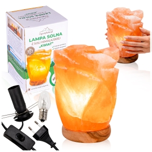 Přírodní solná lampa – KVĚT – himálajská sůl – ionizátor