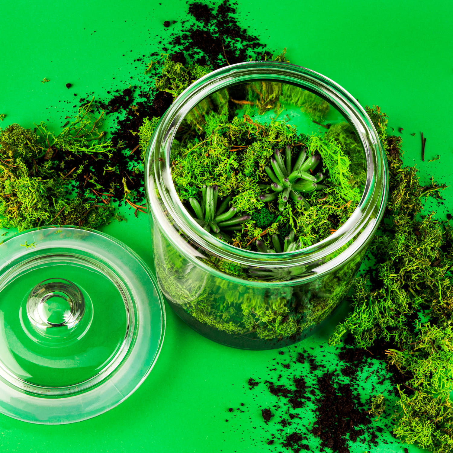 06_pelna_aranzacja 2.jpg