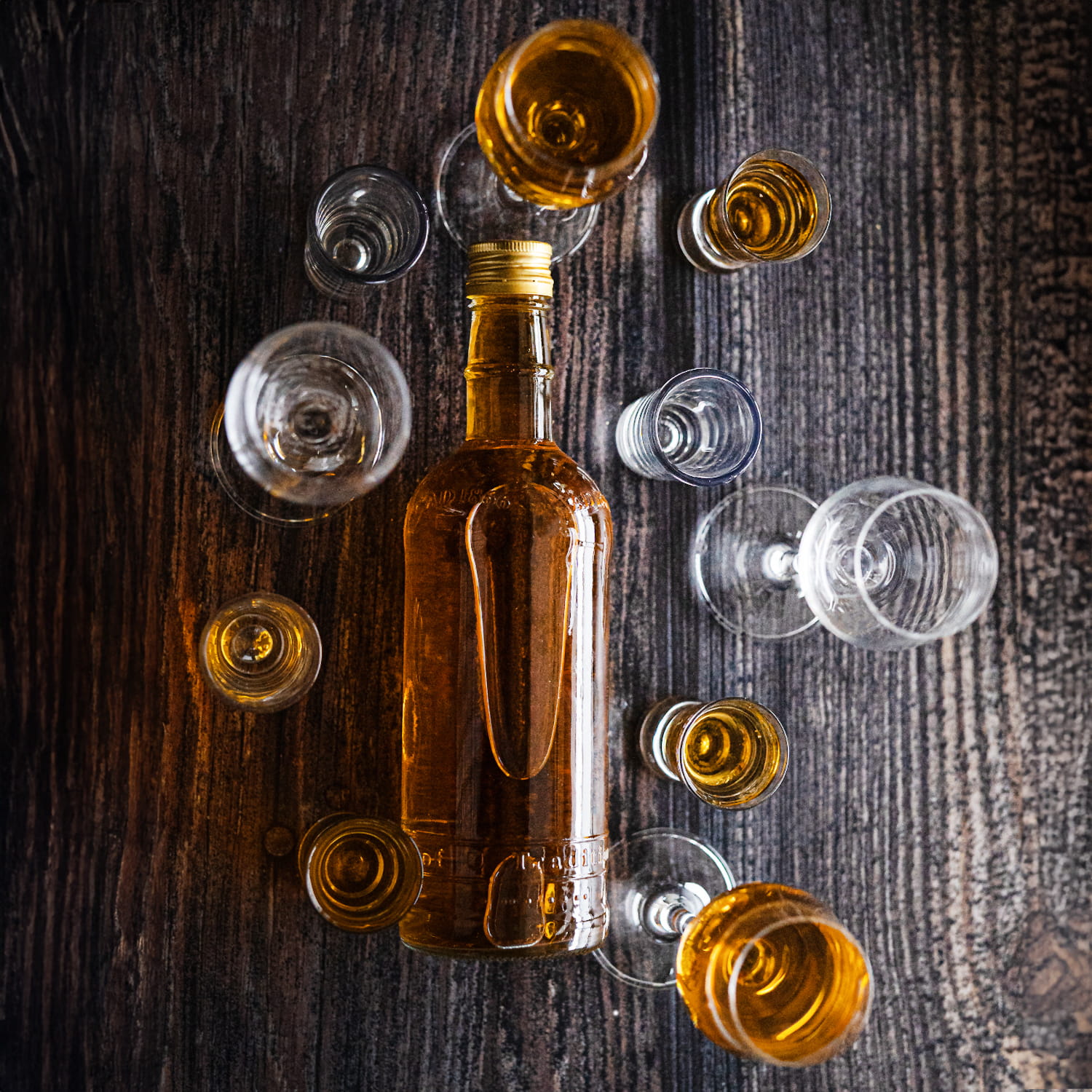 02_aranzacja_jednolite_tlo 1.jpg