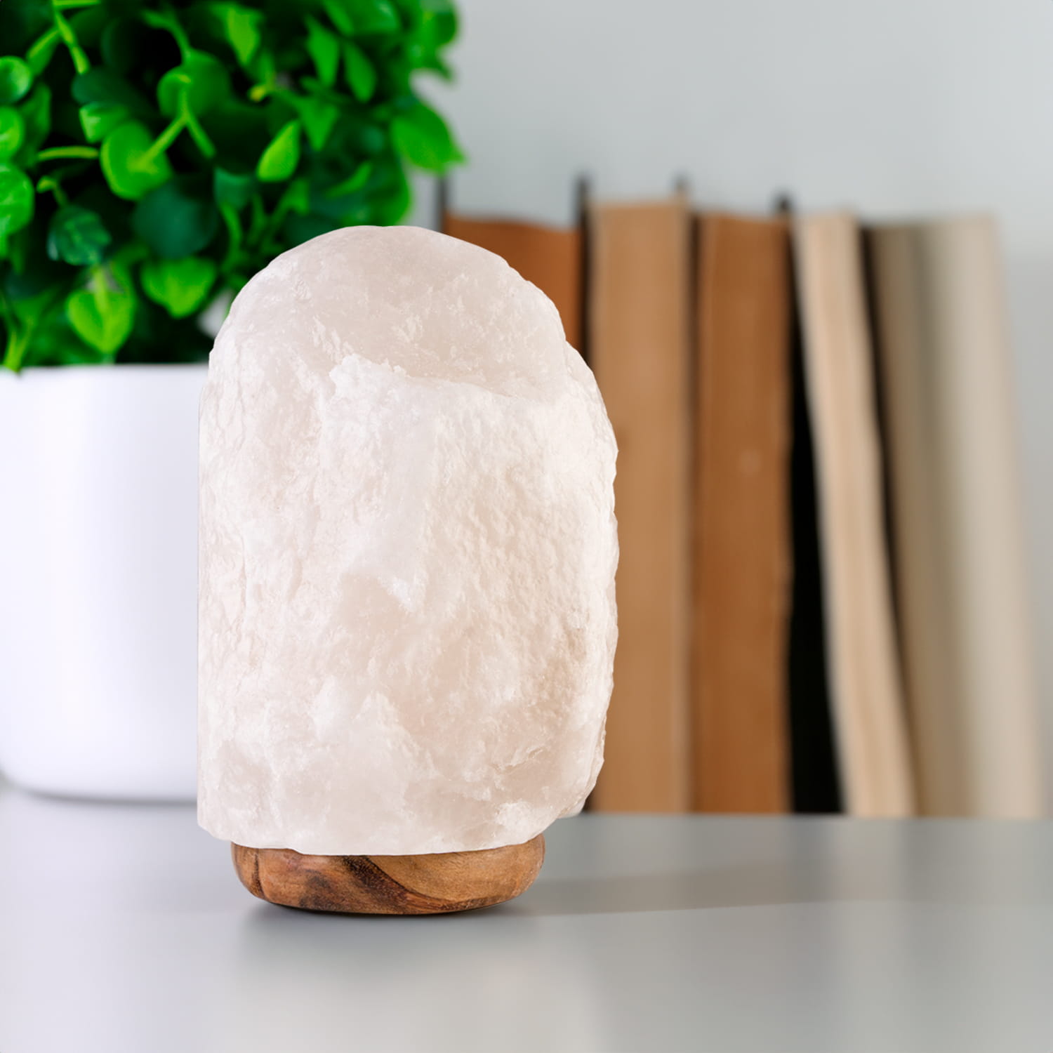 06_pelna_aranzacja 3.jpg