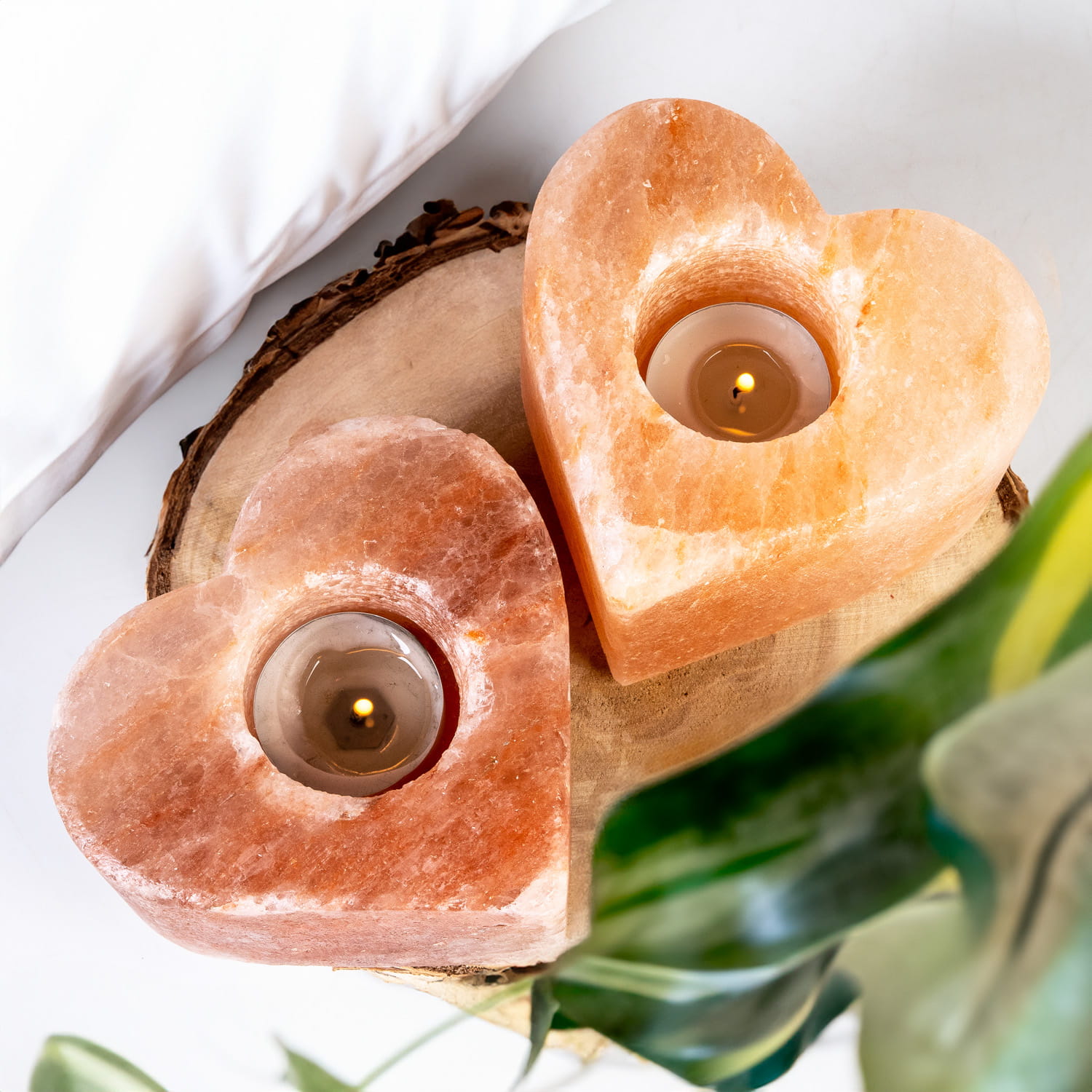 _out_1000_superbutelki_2_aranzacja 1.jpg