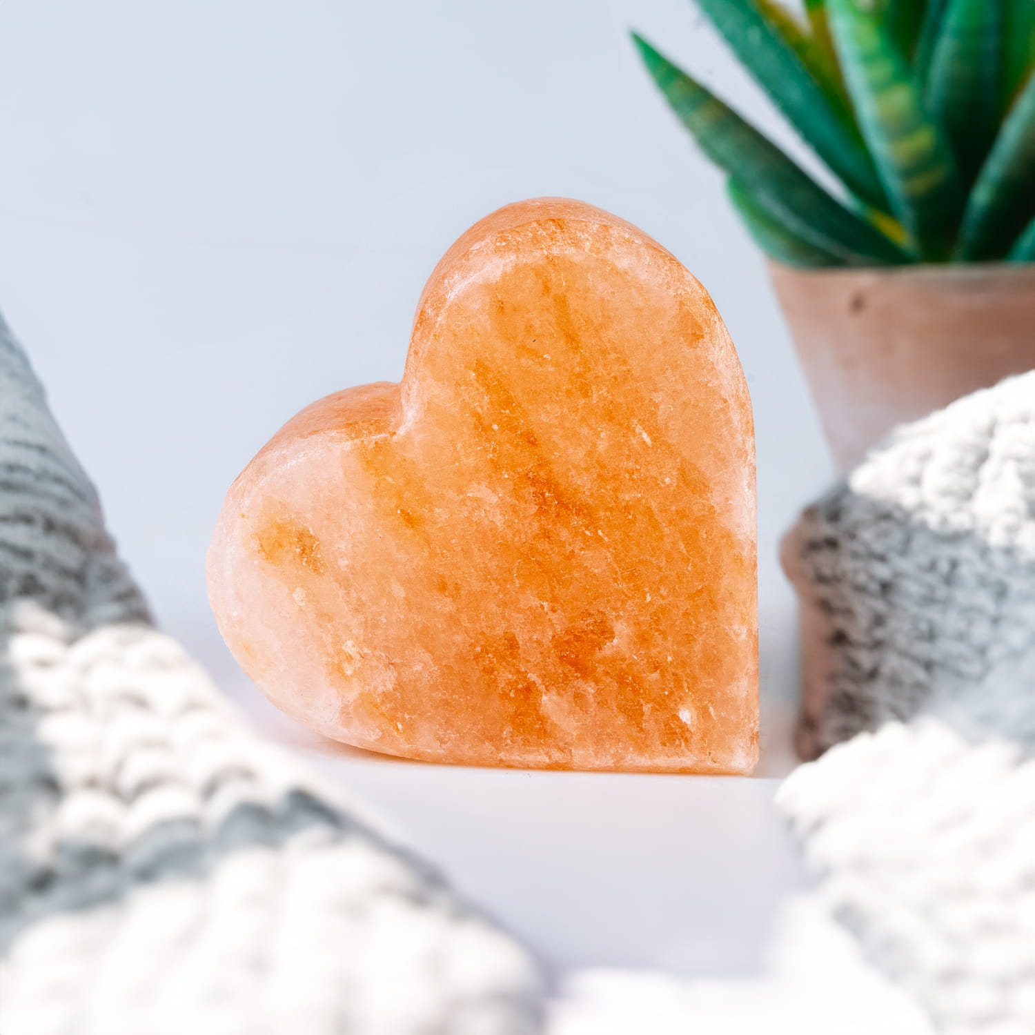 _out_1000_superbutelki_2_aranzacja 3.jpg