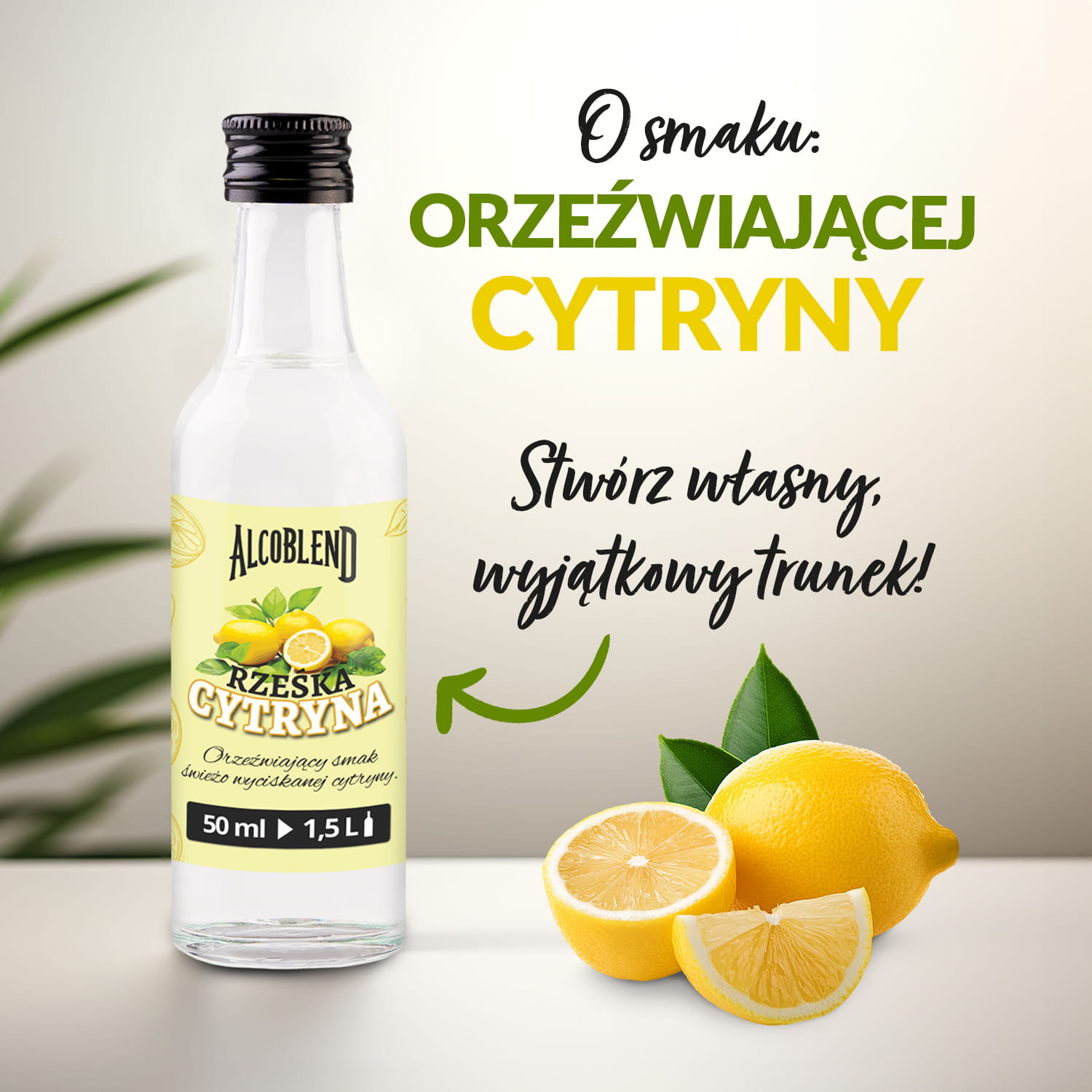 02_aranżacja 4.jpg