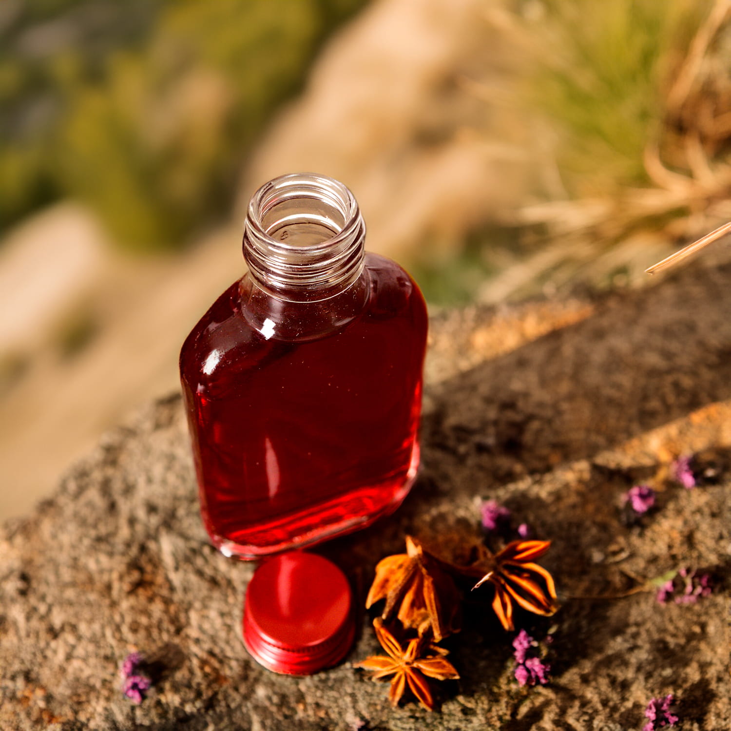 02_aranżacja (1).jpg