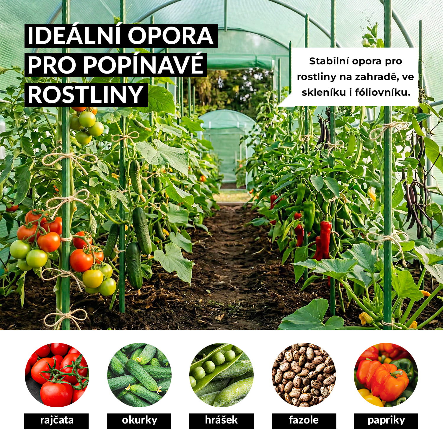 05_infografika_02_czeski.jpg