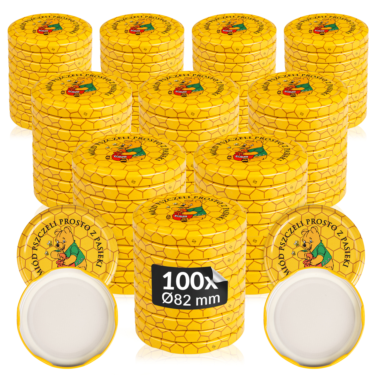 01_miniaturka x100.jpg